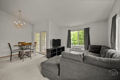 1606 Mcclure Rd unit 99, Aurora, IL 60505 - photo 4