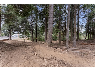 0 Newmark St unit 23622120, North Bend, OR 97459 - photo 4