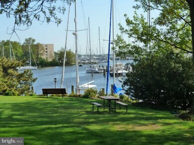 764 Fairview Ave unit B, Annapolis, MD 21403 - photo 2