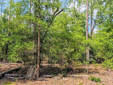 TBD SW 93rd Ln, Dunnellon, FL 34431 - photo 2