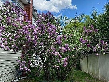 1733 Hancock St, Hewlett, NY 11557 - photo 4