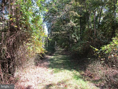 0 Lodge Ln unit 1001017143, Berkeley Springs, WV 25411 - photo 7