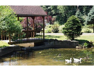 ENJOY WATCHING THE DUCKS ,  ADORABLE COVERED WALKI