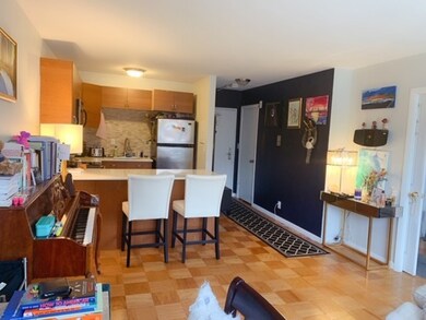 Hammond Park Condominiums unit 303, Chestnut Hill, MA 02467 - photo 5
