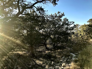 233 Lake of the Falls Pkwy, Mosca, CO 81146 - photo 2