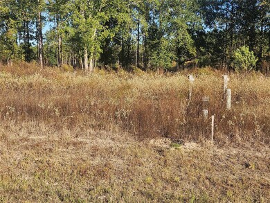 8030 Road 5891, Cleveland, TX 77327 - photo 4