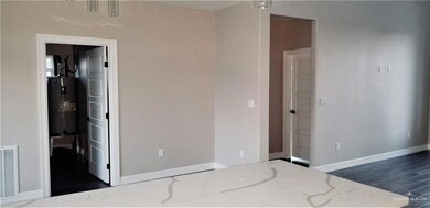 810 Blue Quail St, Alamo, TX 78516 - photo 7