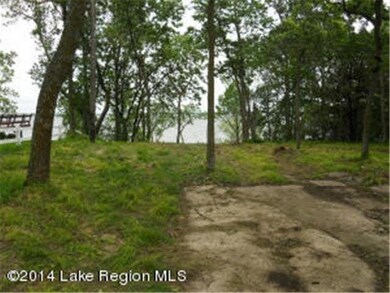38638 Eldorado Beach Rd, Battle Lake, MN 56515 - photo 3