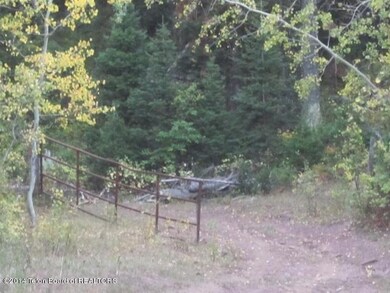 Gate to the Forest