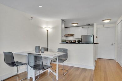 Parris Landing unit 3508, Charlestown, MA 02129 - photo 5