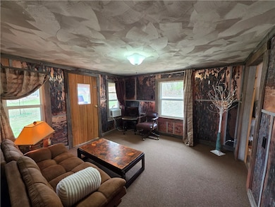 786 Nc 1900, Compton, AR 72624 - photo 4