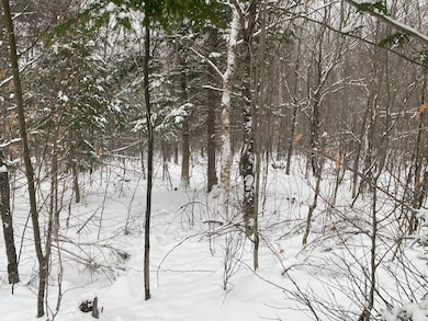 Lot 225 W Birch Ln, Beaver Cove, ME 04441 - photo 4