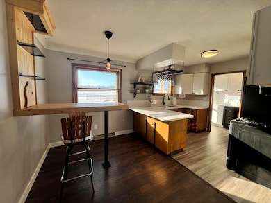 1755 E Carleton Rd, Adrian, MI 49221 - photo 4