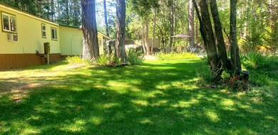 393 N Old Stage Rd, Cave Junction, OR 97523 - photo 3