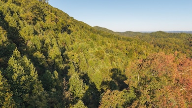 97 Acres Black Valley Rd, Sneedville, TN 37869 - photo 5