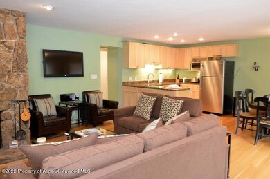 940 Waters Ave unit 307, Aspen, CO 81611 - photo 5
