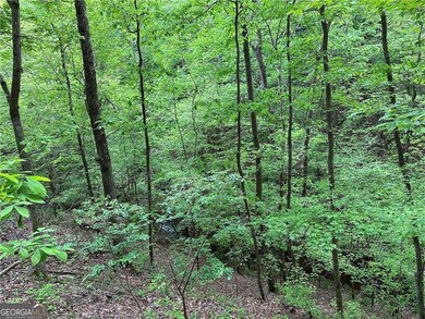 0 Paris Mountain Rd unit 10295245, Rockmart, GA 30153 - photo 6