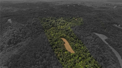 00 Peewee Cromer Rd, Danbury, NC 27016 - photo 6