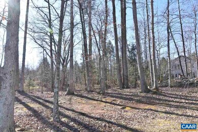 911 Stoney Creek W unit A 21, Nellysford, VA 22958 - photo 5