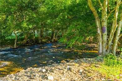 4690 Three Top Rd, Creston, NC 28615 - photo 6