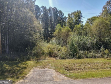 22 Freeman Rd, Lagrange, GA 30240 - photo 3