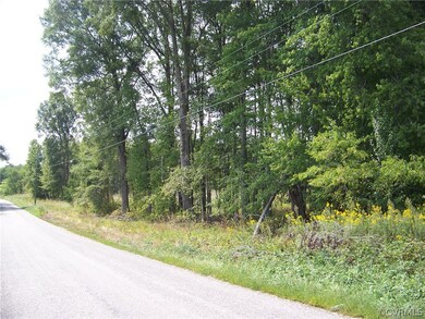 Looking at the south east corner of the property. The open area beyond the last large tree is not part of the property.