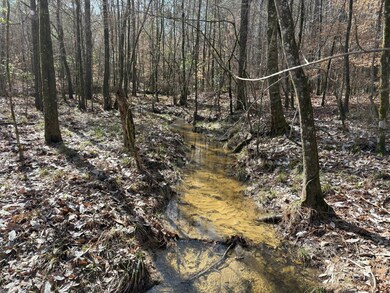 TBD Girlinghouse Rd, Jena, LA 71342 - photo 7