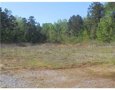 397 Stilley Rd, Pineville, LA 71360 - photo 6