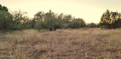 LOT 47 - 4875 E GERONIMO RD