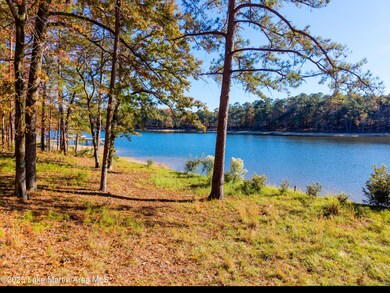 468 Luannes Way, Alexander City, AL 35010 - photo 2