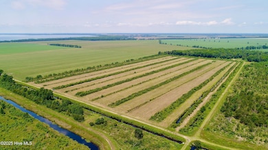 DJI_0087 (1)