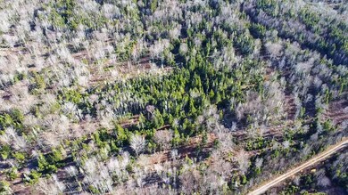 Map 04 Lots #2-15 2-16 Yellow Birch Rd, Whiting, ME 04691 - photo 5