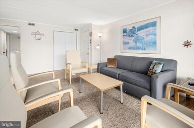 Thunder Island unit 73B, Ocean City, MD 21842 - photo 5