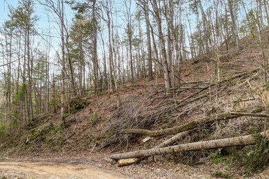 03-Meadow View Rd Lot 20-3