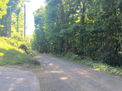 981 Swamp Rd, Hunlock Creek, PA 18621 - photo 7