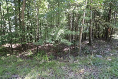 159 Majestic Dr, Chestnuthill Township, PA 18353 - photo 5