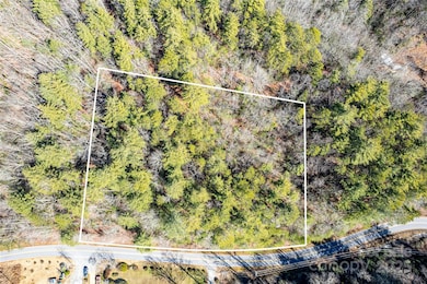 TBD Frozen Creek None unit 34, Brevard, NC 28712 - photo 5