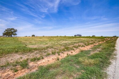 TBD Swallowtail, Poolville, TX 76487 - photo 6