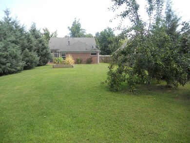 Large Back Yard With Peach Tree