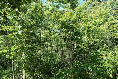 0 Evan Sisters Rd, Flemingsburg, KY 41041 - photo 7