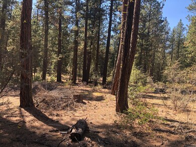 0 Kodiak Ln unit lot 500 220132728, Bonanza, OR 97623 - photo 4