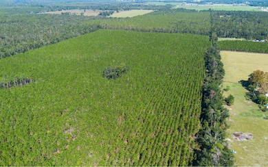 TBD-4 221st Rd, Dowling Park, FL 32060 - photo 3