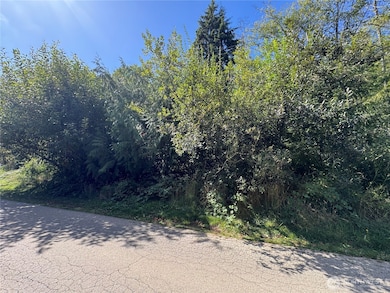 3628 Creek View Ct SE, Parkwood, WA 98366 - photo 2