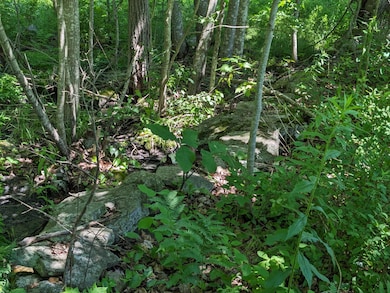 PXL_20240625_180711585
