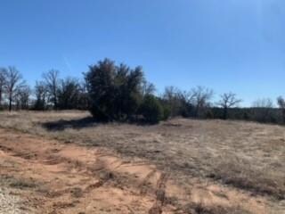 231 Cottongame Dr, Weatherford, TX 76088 - photo 6