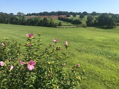 1661 S Songbird Cir, Nixa, MO 65714 - photo 4