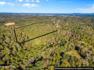 2-web-or-mls-DJI_0182 - 3D lift
