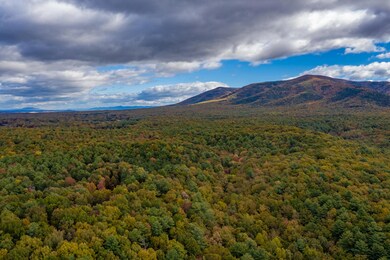 20181029-DJI_0921