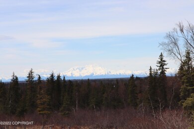 32741 & 32669 Rickard St, Anchor Point, AK 99556 - photo 3