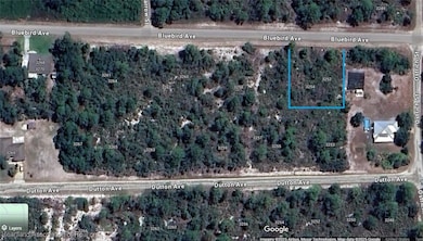 3254 Bluebird Ave, Lake Placid, FL 33852 - photo 5